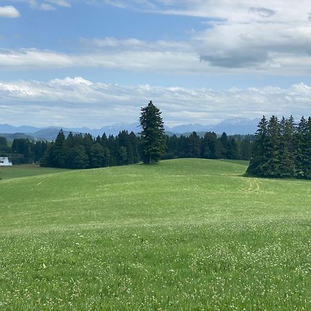 "Allgaeu-Herzl" Alpenchalet Fuer Zwei Ruckholz Dış mekan fotoğraf