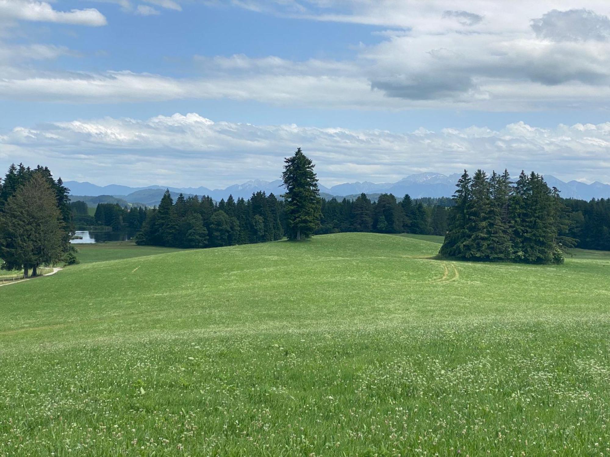"Allgaeu-Herzl" Alpenchalet Fuer Zwei Ruckholz Dış mekan fotoğraf